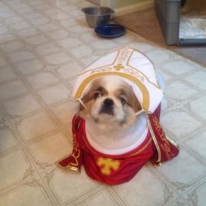 Meet your Posher, Steve